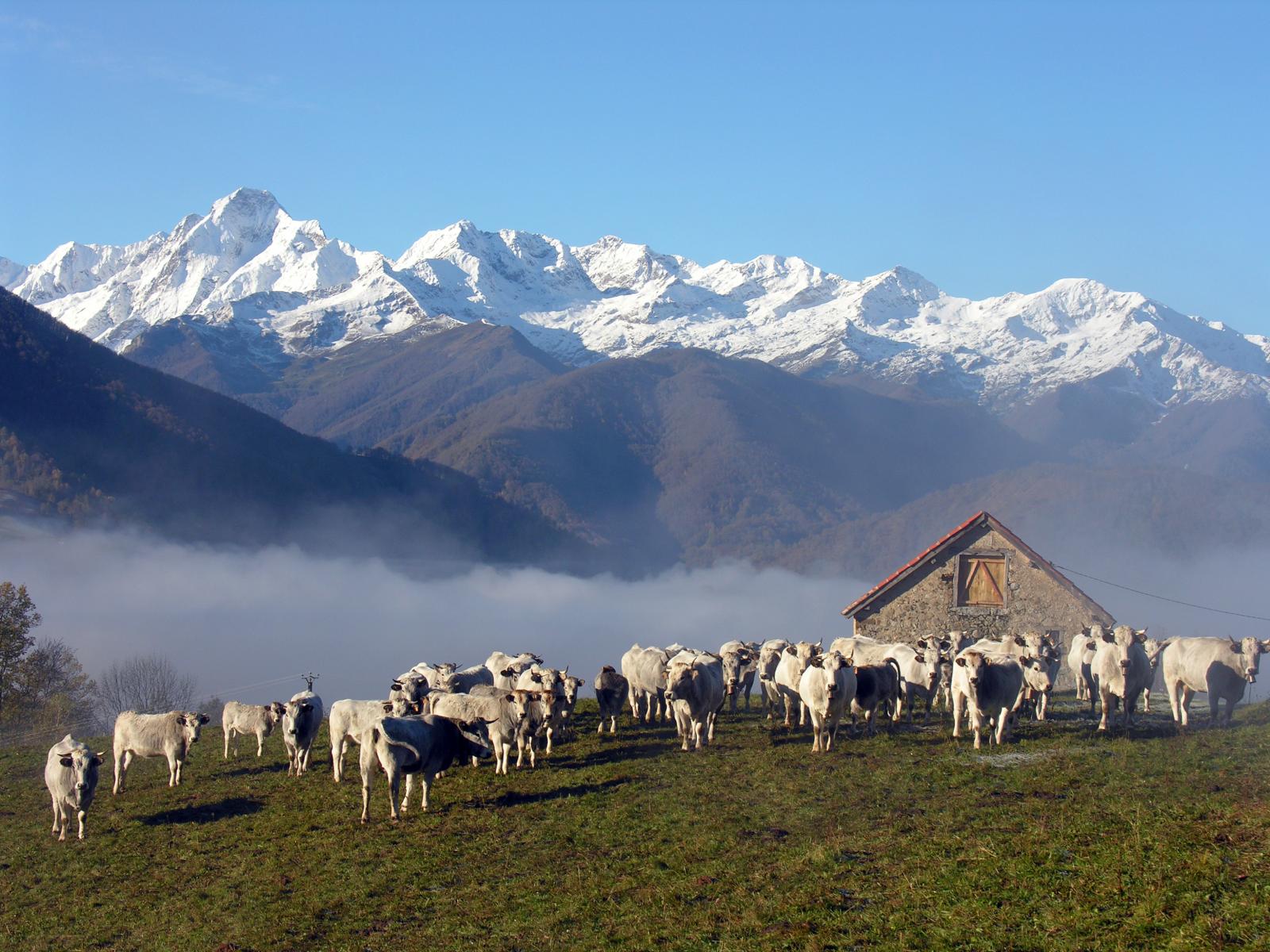 Gites Ruraux et chambres d'hôtes en Ariège location gites ariege
